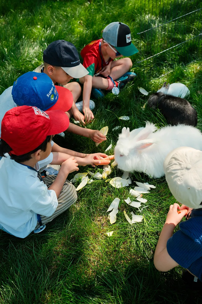 camp-ana-animation-enfants-decouverte-animaux-converti-depuis-jpg Des enfants participent à une animation de découverte des animaux en plein air et nourrissent des lapins lors de l’événement Camp ANA.